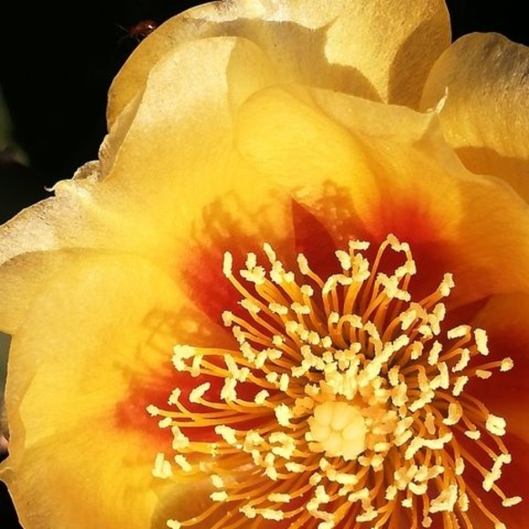 Meet your Posher, John - Picture 1 of 1